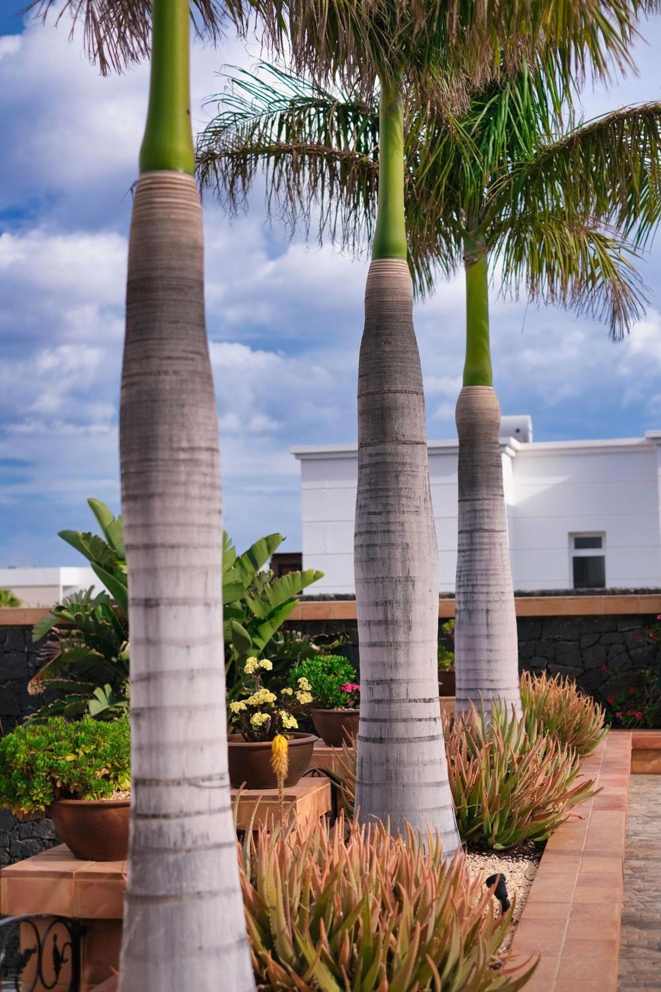 Hostal Casa Mia Puerto Calero Exterior foto